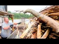 Download Lagu Brutal Wood Processing | Nothing Survives