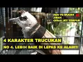 Download Lagu MENGENAL 4 KARAKTER BURUNG TRUCUKAN OMBYOKAN DARI YANG MUDAH JINAK SAMPAI GIRAS