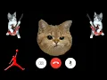 🍎 Apple Ringtone , cats iPhone pro, iphone , Cat Ringtone 18:00 #iPhone