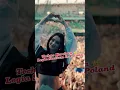 Download Lagu Techno Music Queen Korolova Legia Stadium In Poland #techno #music #dj #technorave #music #Korolova