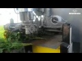 Bercomex S5 Automatic Chrysanthemum Harvester