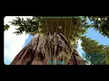 Download Lagu Had To Bail (ARK)