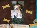 2016 SCGRR Permanent Fosters