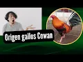 Cowan Gamefowl