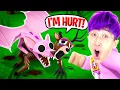 WE SAVED The DEER in 99 Nights in the Forest!? (The DEER is HURT!)