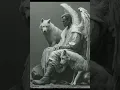 I HATE MODELS - whe were wolf