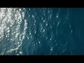 Download Lagu NTO - Petit Matin (Official Video)