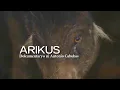 Download Lagu Arikus | Dokumentaryo ni Antonio Cabubas
