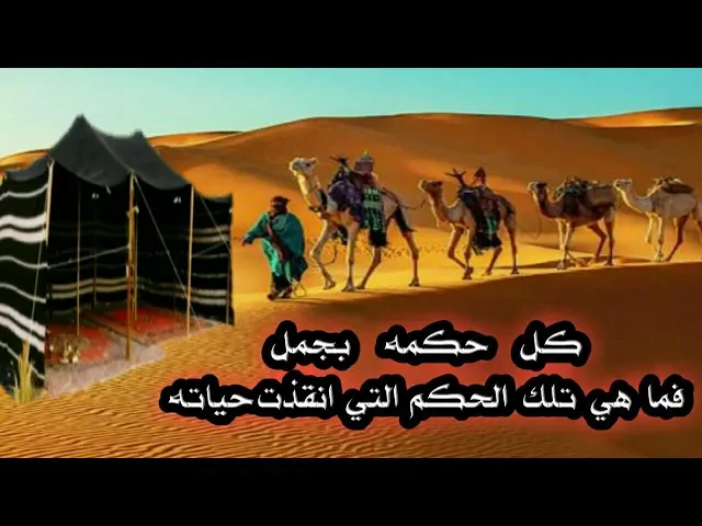 ⁣قصة ريفية بدوية | كل حكمة بجمل ما هي الحكم التي انقذت حيات الرجل من الموت | قصص واقعية