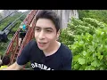 Travel in Wanju | A Stairway to Heaven? Or Hell? | Travel Track