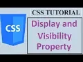 CSS Tutorials for Beginners - 16