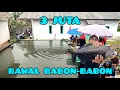 Download Lagu KOLAM MINI BAWAL BABON-BABON‼️DI PANCING 6 PESERTA