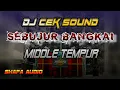 Download Lagu DJ SEBUJUR BANGKAI  MIDDLE TEMPUR - SHAFA AUDIO
