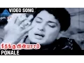 Download Lagu Ponale Video Song | Neethikku Pin Paasam Tamil Movie | MGR | Saroja Devi | MR Radha