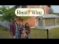 Royal Wing Wild Bird Seed Ad Lifestyle Brand