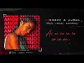 2ZDINIZZ & Sueco - Amor Vitalício
