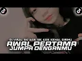 Download Lagu dj AWAL PERTAMA JUMPA DENGANMU viral tik tok sik asik