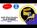 Split Plot Design in R STUDIO
