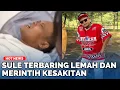 Download Lagu Sule Terbaring Lemah dan Merintih Kesakitan, Netizen Doakan Kesembuhan
