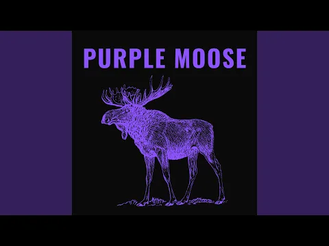 Purple Moose, bild 3