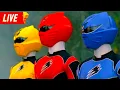 🔴 LIVE 24/7 | Power Rangers Jungle Fury ⚡️Full Season Episodes 1–38 | Power Rangers Official