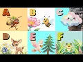 ABC Weather Nature - Mini Stories Flashcards Fun Alphabet Learning for Kids