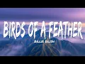 Download Lagu Billie Eilish - BIRDS OF A FEATHER (Lyrics)