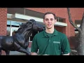 Stevenson University Tour Tuesdays Garrison Hall