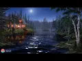 Night Ambient Sounds, Cricket, Swamp Sounds at Night, Sleep and Relaxation Meditation Sounds