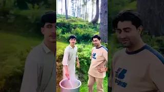                     دندنها