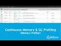 Find Performance Bottlenecks in Memory Heap - Continuous Memory GC Profiling