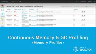 Find Performance Bottlenecks in Memory Heap - Continuous Memory GC Profiling