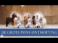 Download Lagu OMG! 😍 Teddy, Ties en Skittles ONMOETEN elkaar | PaardenpraatTV