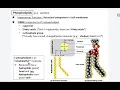 1 3 Phospholipid