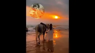 آهنگی زیبا و کمیاب از بانو سوسن دیگه دوست ندارم 