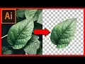 How to cut out an image object in Illustrator CC
