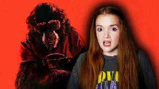 new horror movie primate took me by surprise spoiler free