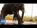 Register for PETA s Global Compassion Fund Fireside Chat Today