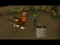 I GOT THE NEW BOSS PET (Shellbane Gryphon)