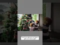 Download Lagu 3 Unusual Christmas Traditions