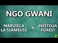 Mariusca La Slameuse - Ngo Gwani - feat Nestelia Forest (Paroles) | Paroles du Congo