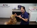 Pet Microchipping Animal Medical Hospital