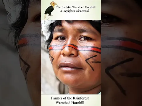 வனத்தின் விவசாயி | Farmer of the Rainforest | The Faithful Wreathed Hornbill #birds #hornbills #wwf