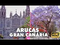 Download Lagu ARUCAS - Gran Canaria | A Hidden Paradise You Must Explore - Here's Why!