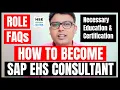 SAP EHS Consultant How to Become a Successful SAP EHS Consultant HSE STUDY GUIDE