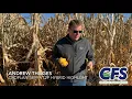 CFS Agronomist Andrew Thilges discusses Croplan 3899 VT29 Hybrid Highlights