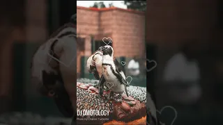 bahramji medusa odyssey jana thembas herd remix 