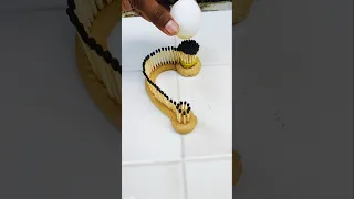                                                                دندنها