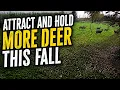 ATTRACT MORE DEER THIS FALL