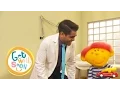 Download Lagu Why Are Intestines So Long? - Get Well Soon